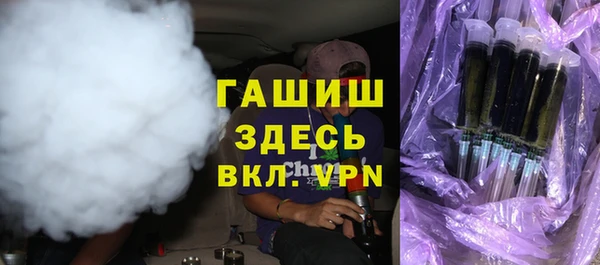хмурый Аркадак