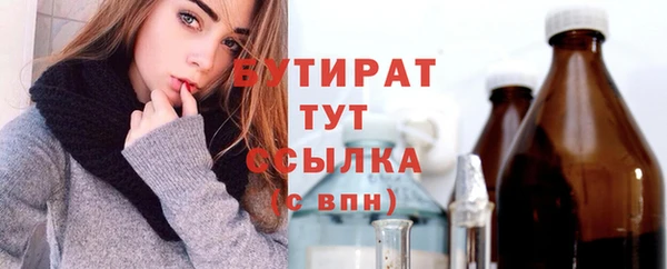 хмурый Аркадак