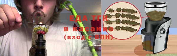 хмурый Аркадак