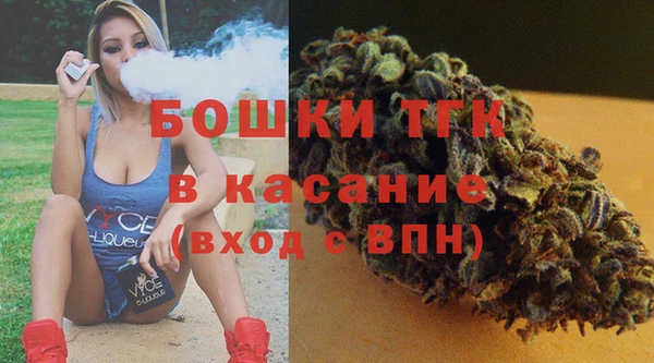 хмурый Аркадак