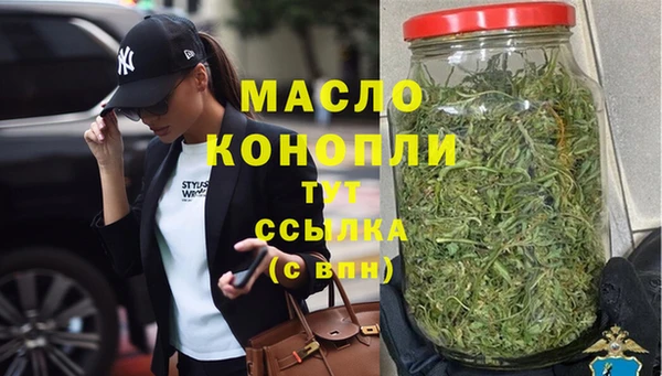 хмурый Аркадак