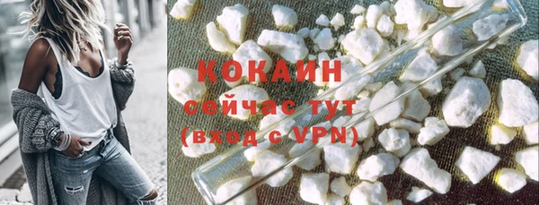 хмурый Аркадак