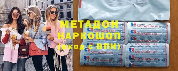 хмурый Аркадак