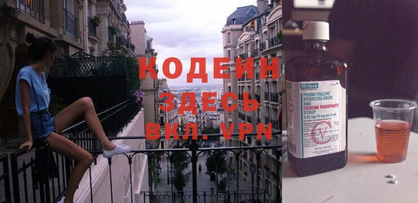 хмурый Аркадак