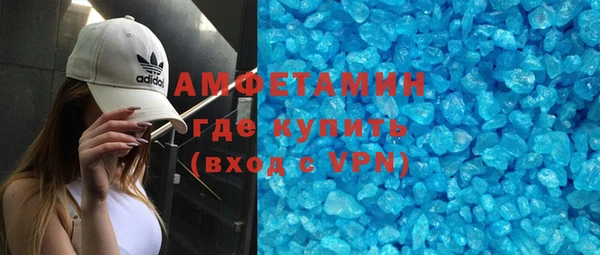 хмурый Аркадак