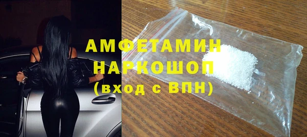 хмурый Аркадак