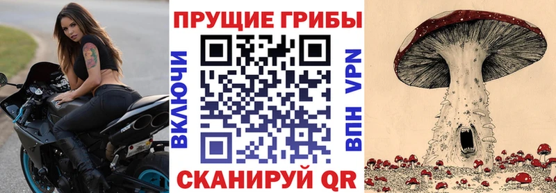 Галлюциногенные грибы мухоморы  ОМГ ОМГ ссылки  Горячий Ключ  купить наркотики сайты 